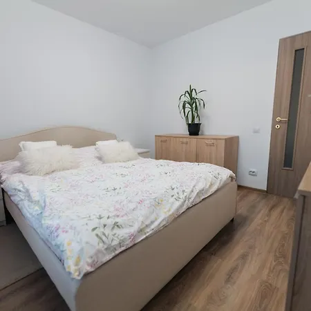 Apartment Oaza De Liniste